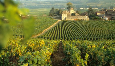 vivreenbourgogne